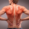 Power ROLL by Puterea Ursului®, cu plante BIO, Life Care®